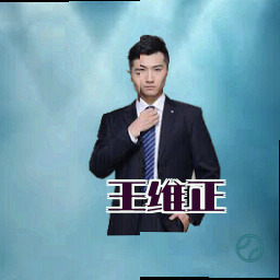 王维正